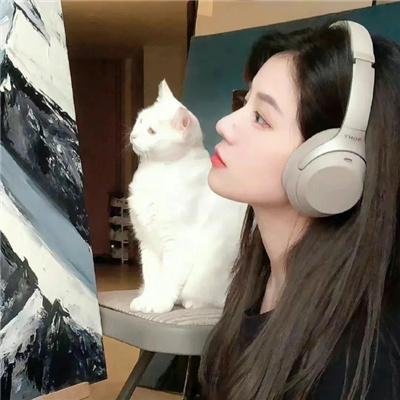 同路人